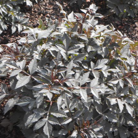 Tische und Möbel aus Edelstahl - naturstein-tische.de