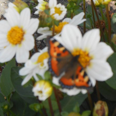 Tische und Möbel aus Edelstahl - naturstein-tische.de