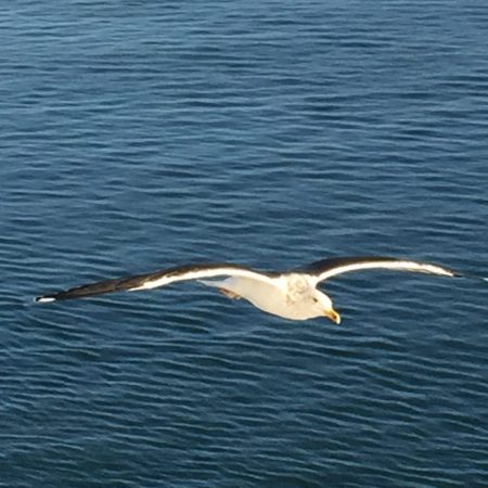 Tische und Möbel aus Edelstahl - naturstein-tische.de