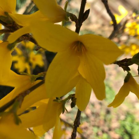 Tische und Möbel aus Edelstahl - naturstein-tische.de